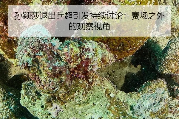 sun-ying-sha-tui-chu-ping-chao-yin-fa-chi-xu-tao-lun-sai-chang-zhi-wai-de-guan-cha-shi-jiao-2-422.jpg